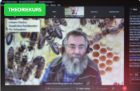 Anfängerkurs Teil 1 online